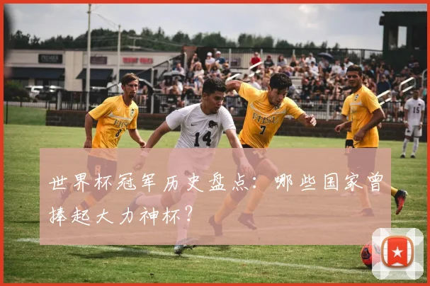 世界杯冠军历史盘点：哪些国家曾捧起大力神杯？