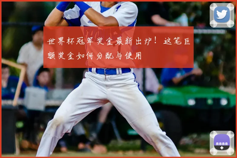 世界杯冠军奖金最新出炉!这笔巨额奖金如何分配与使用