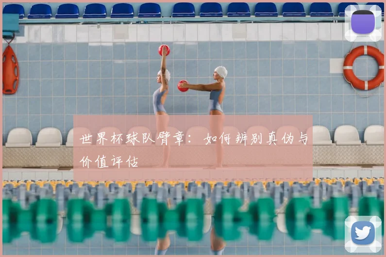 世界杯球队臂章：如何辨别真伪与价值评估